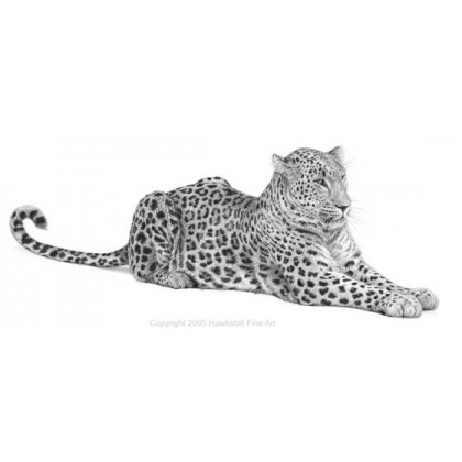 Persian Leopard by David Dancey-Wood