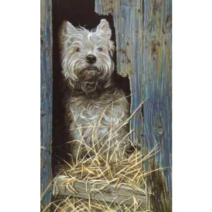 The Barn Door by Paul Doyle