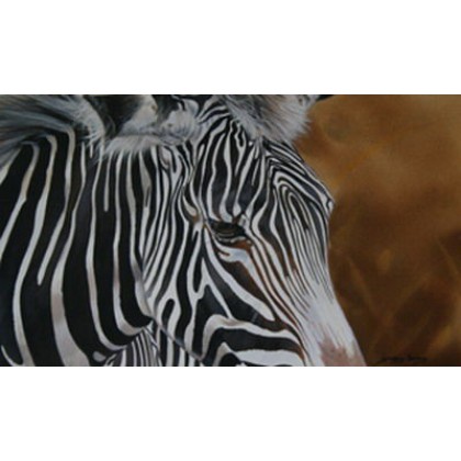 In.....Zebra by Lyndsey Selley
